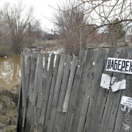 Владельцы затопленных дач: «Помощи нет и не будет»