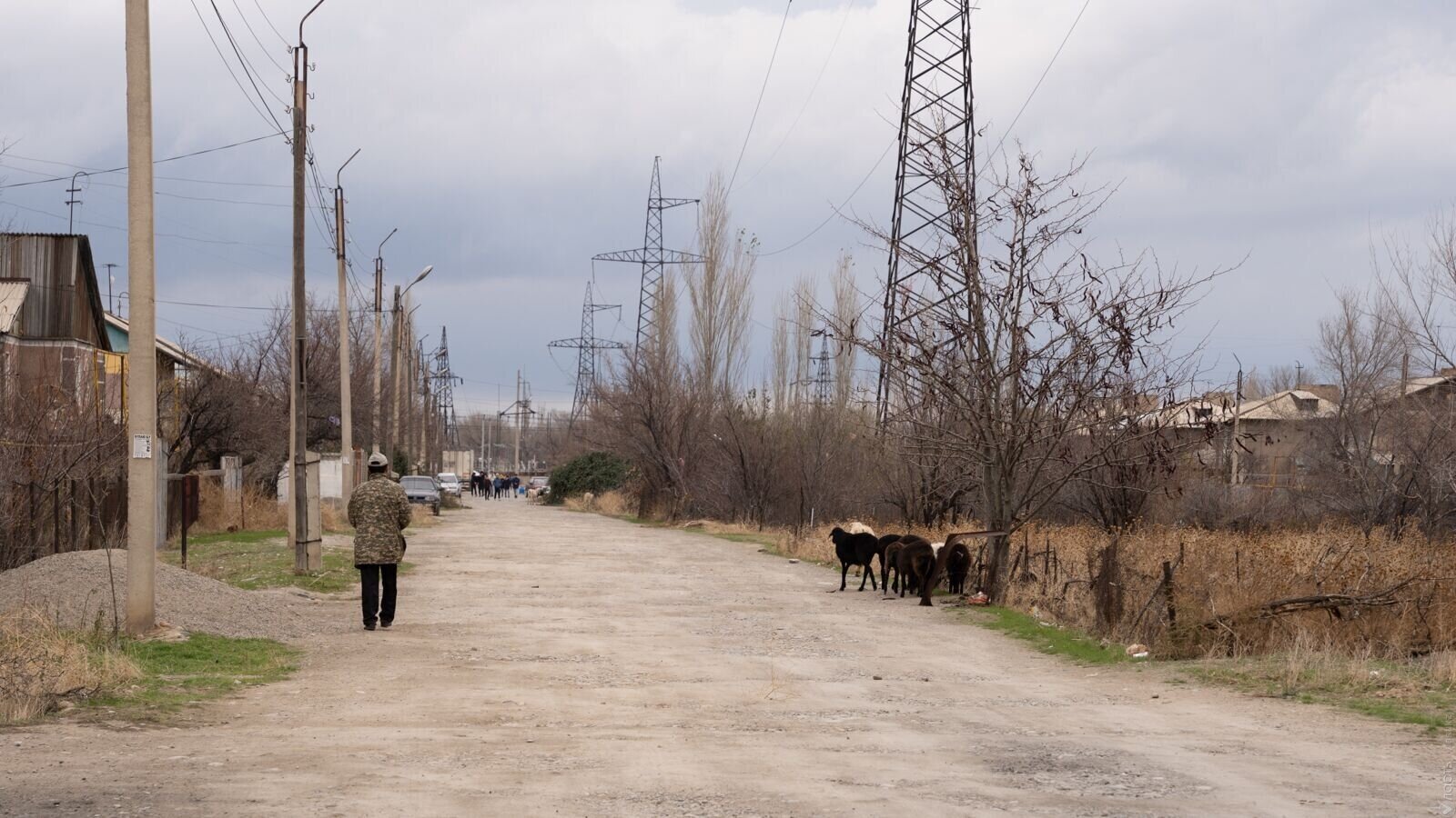 Скотоводство и взаимопомощь: чем занимаются кандасы на юго-востоке Казахстана? 