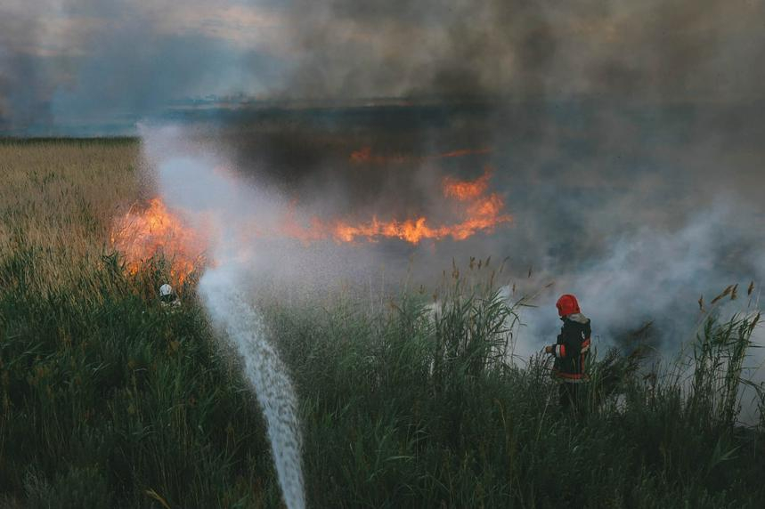 Пожар в районе озера Талдыколь в столице полностью потушен – МЧС