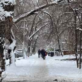 В Алматы в ближайшие два дня школьники будут учиться дистанционно из-за морозов