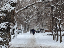 В Алматы в ближайшие два дня школьники будут учиться дистанционно из-за морозов