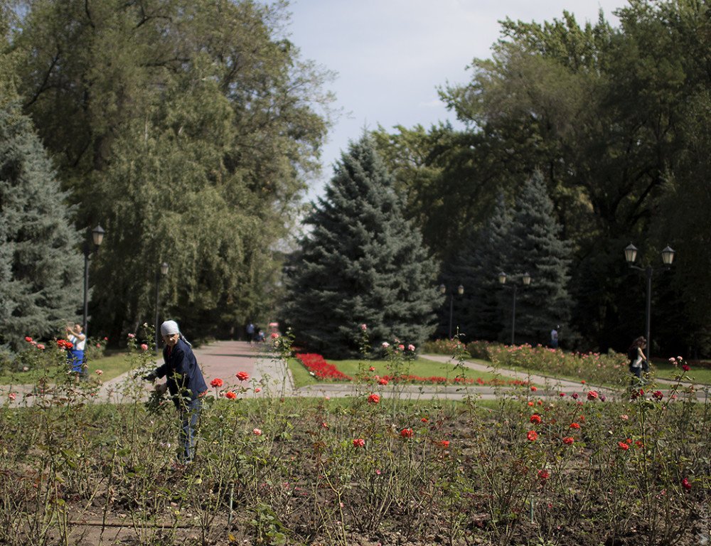Площадь цветников в Алматы увеличится на 66,17 тыс кв.метров