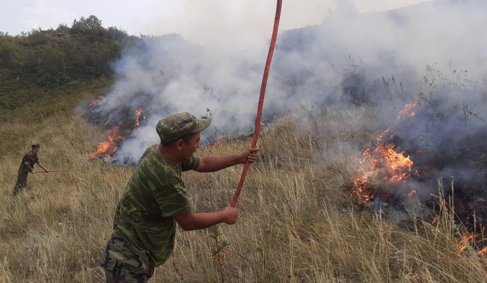 Крупный пожар тушат в Карагандинской области 