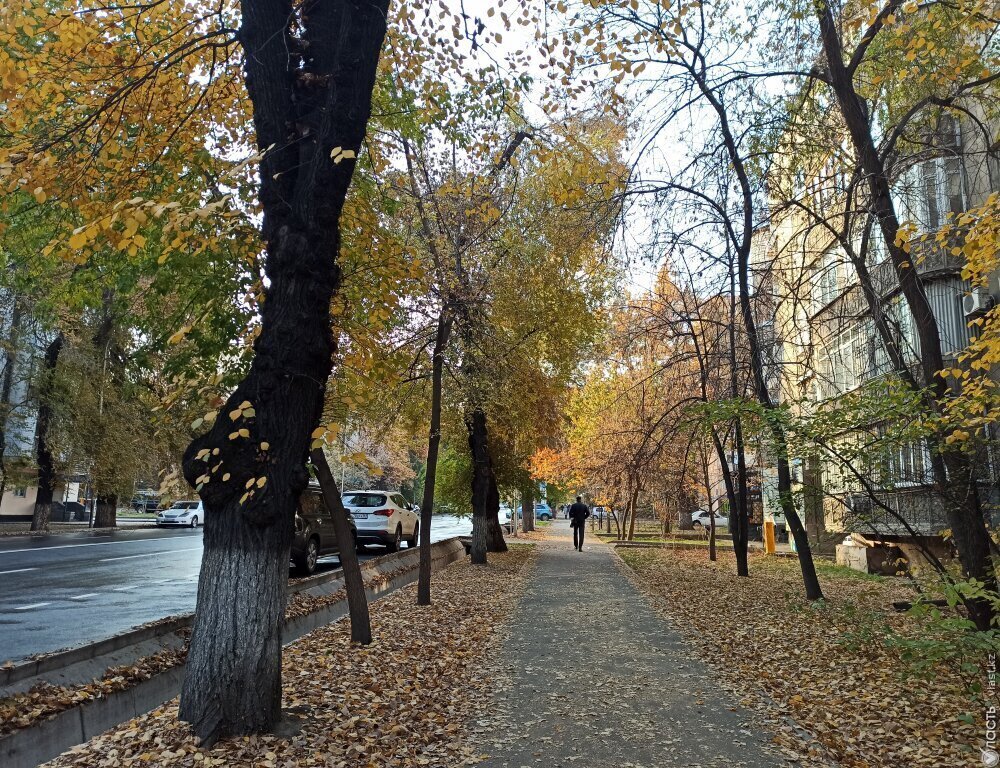 Две волны тепла прогнозируют синоптики в Казахстане в октябре