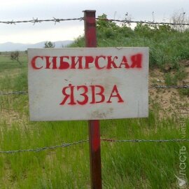 В Западном Казахстане есть угроза распространения сибирской язвы из-за паводков