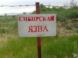 В Западном Казахстане есть угроза распространения сибирской язвы из-за паводков