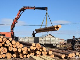 ​Казахстан не экспортировал лес за рубеж в этом году − МИИР