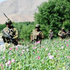 ОДКБ не исключает увеличения потока мигрантов после вывода войск НАТО из Афганистана. 