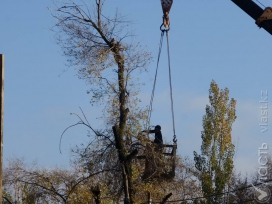 Все в рамках загона 