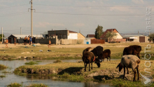 Водохозяйственная обстановка в южных регионах стабильная, заверяют в Минэкологии
