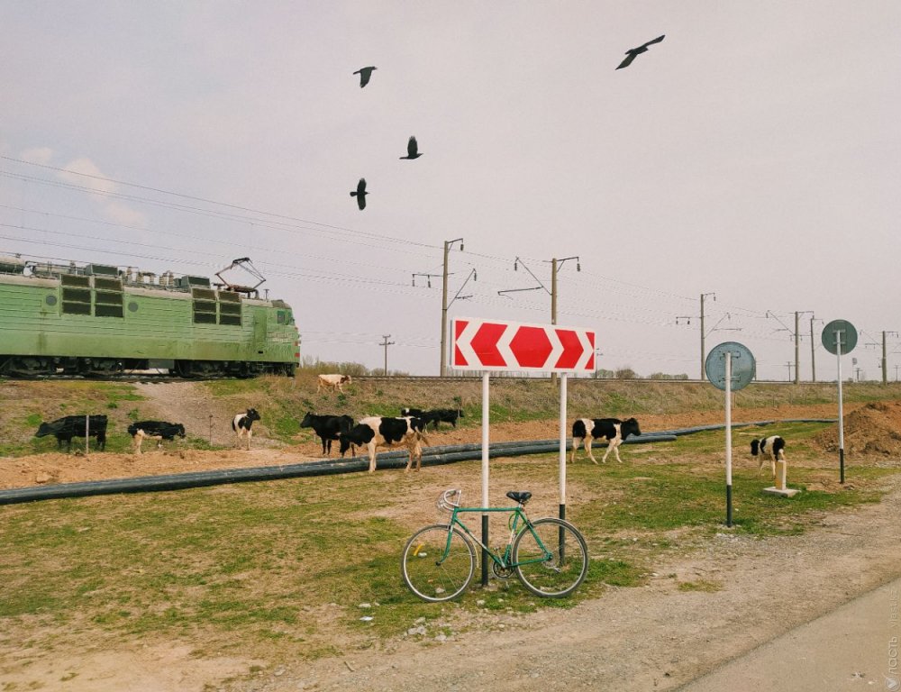 В Шымкенте приостановят работу аэропорта и ж/д вокзала