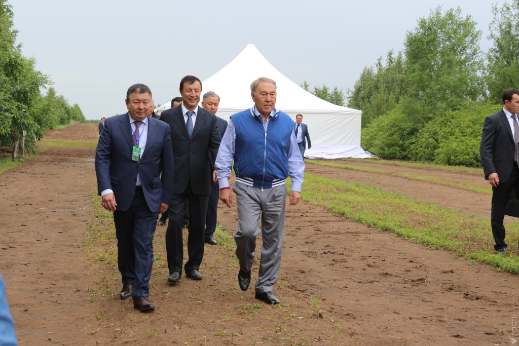 «Судьба – это не труба»: Назарбаев посоветовал не думать о смысле жизни