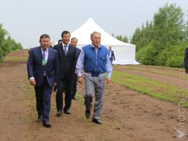  «Судьба – это не труба»: Назарбаев посоветовал не думать о смысле жизни
