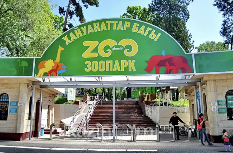 В зоопарке Алматы появились новые животные