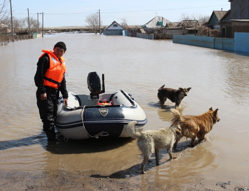 В Акмолинской области продолжают бороться с паводками