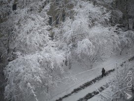 В Караганде из-за погодных условий отменили занятия в школах