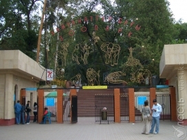 Директор Алматинского зоопарка заявил о своем уходе