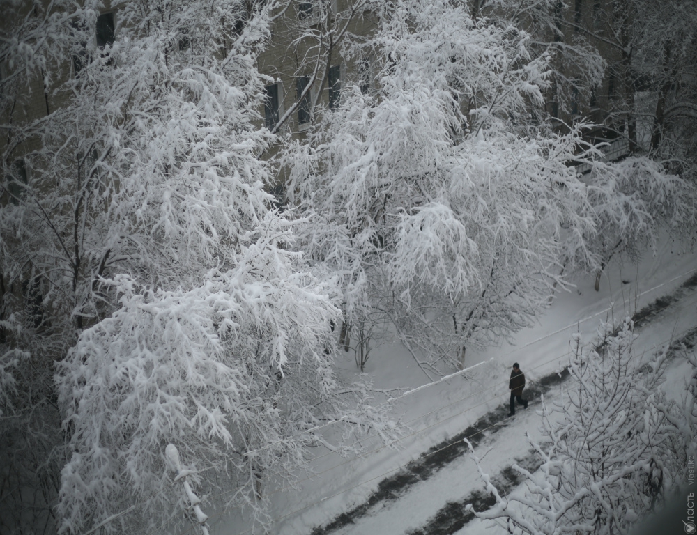 Существенные морозы в Казахстане следует ожидать в канун Нового года – «Казгидромет»