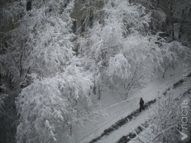 Существенные морозы в Казахстане следует ожидать в канун Нового года – «Казгидромет»