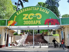 Зоопарк Алматы пополнился новыми животными
