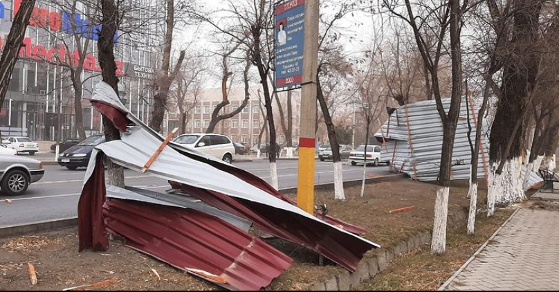 В Жамбылской области из-за сильного ветра пострадали десятки человек, один погиб