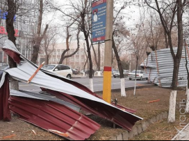 В Жамбылской области из-за сильного ветра пострадали десятки человек, один погиб