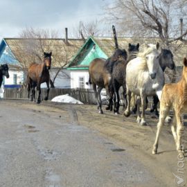 В Казахстане восстановлено 77 участков автомобильных дорог – КЧС 