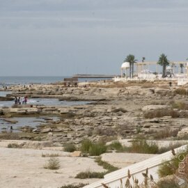 Токаев предложил создать в СНГ центр прогнозирования чрезвычайных климатических и техногенных ситуаций