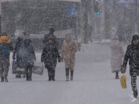 В Алматы выпало до 15 см снега 