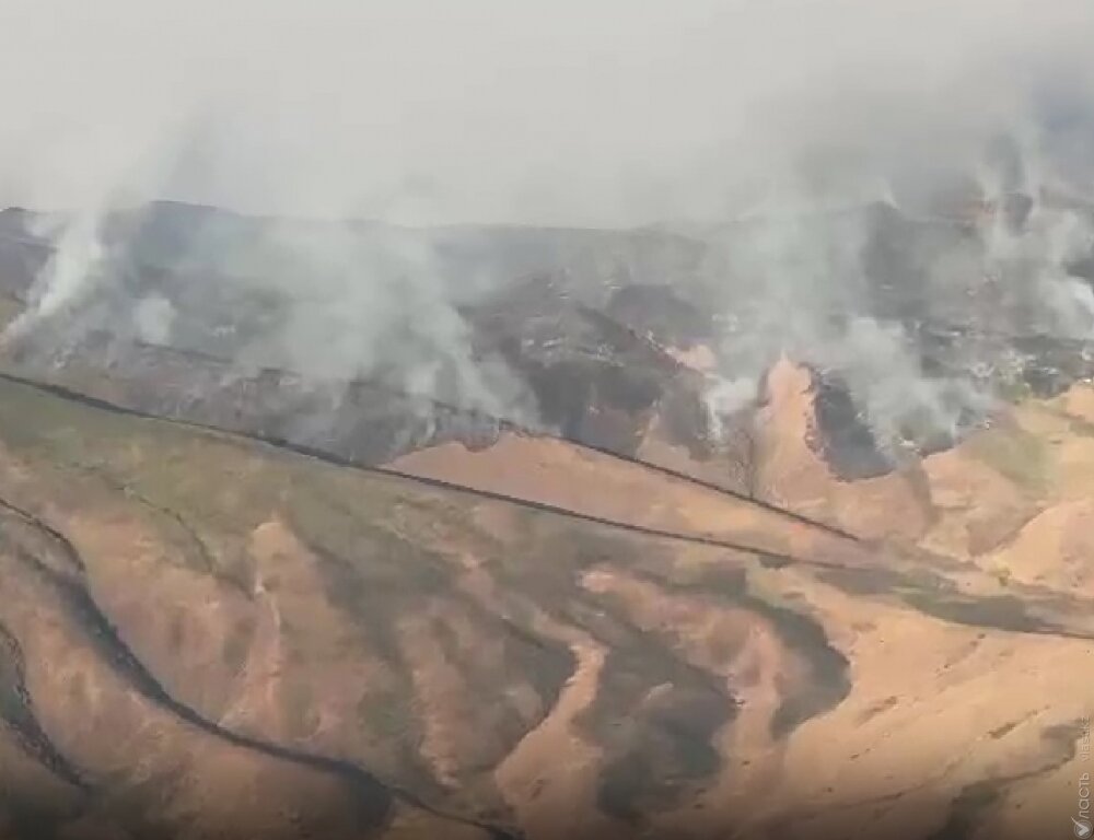 В горах Жамбылской области вторые сутки тушат пожар
