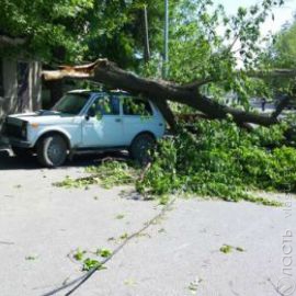 Последствия урагана в ЮКО &mdash; один человек погиб, семеро пострадали