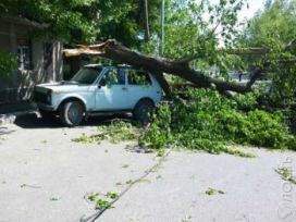 Последствия урагана в ЮКО &mdash; один человек погиб, семеро пострадали