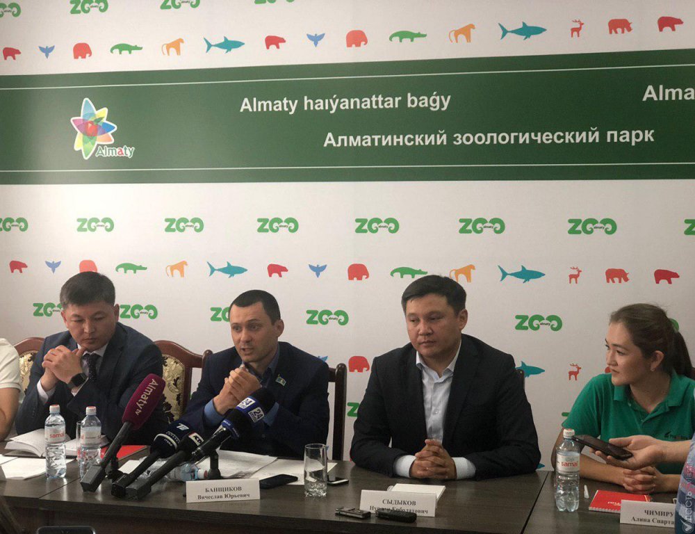 Сотрудники Алматинского зоопарка рассказали о причинах гибели животных  