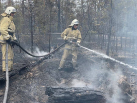 В области Абай продолжается тушение пожара на 5 участках