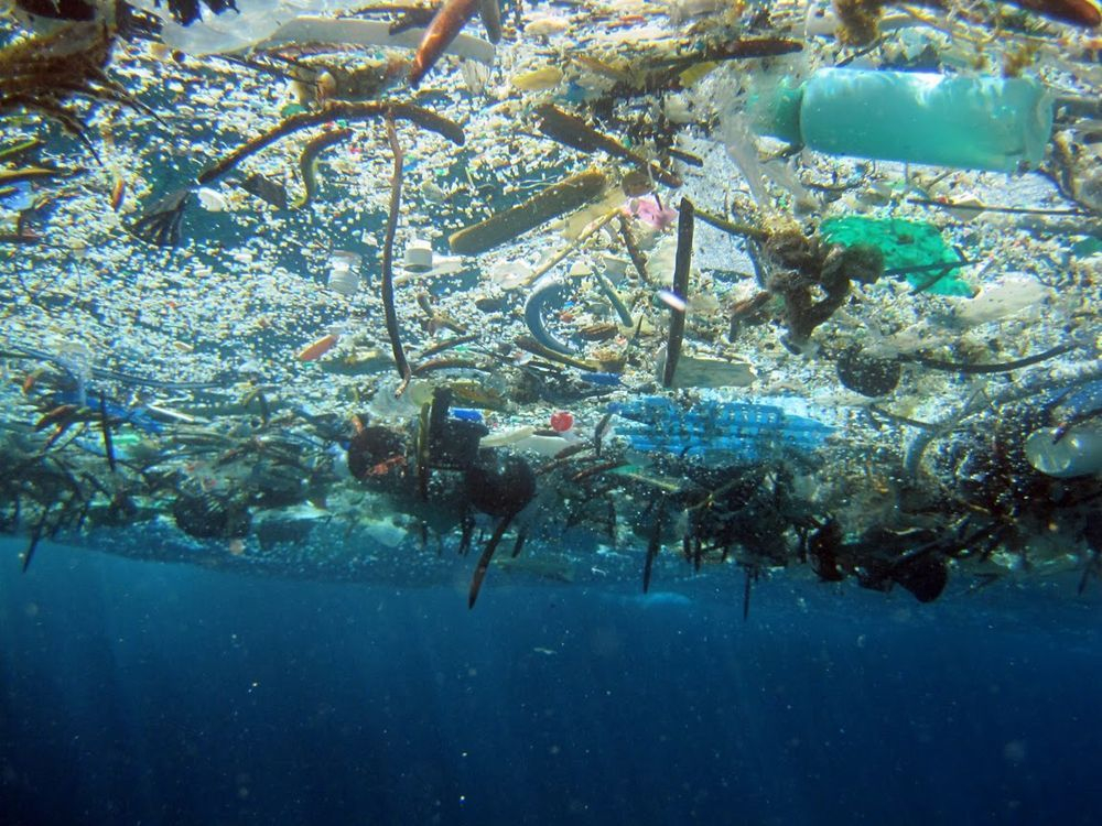 Страны G20 создадут международный орган для борьбы с пластиковым мусором