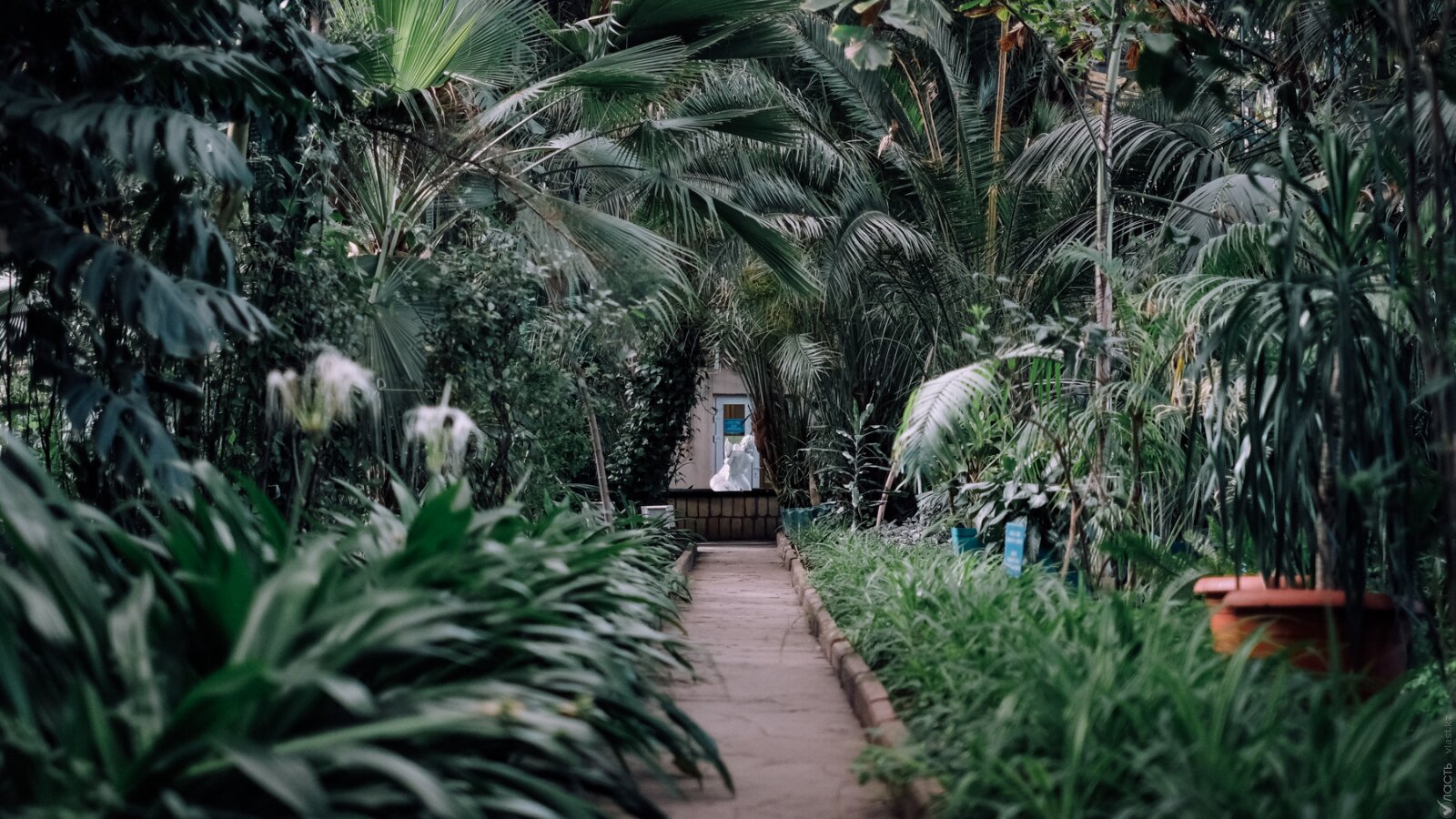 Невидимый сад