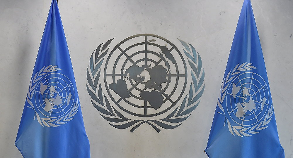 Казахстан создает особые условия для деятельности организаций ООН 