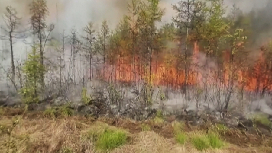 Почти 800 природных пожаров ликвидировано в Казахстане в июле