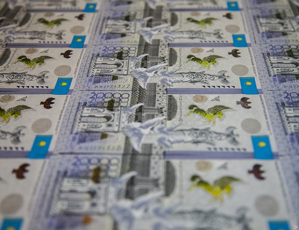 Местные исполнительные органы задерживают перевод средств микрокредитования – Сулейменов