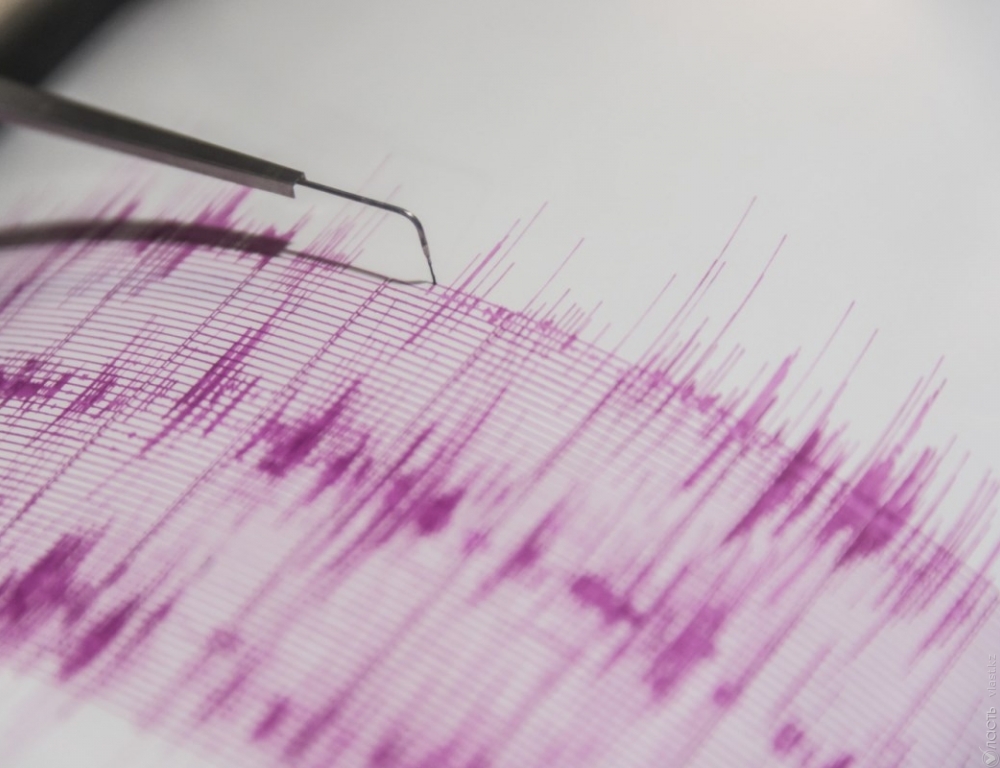 В 50 километрах от Алматы зафиксировано землетрясение магнитудой 4 балла