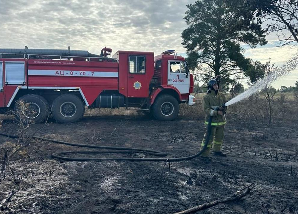 Лесной пожар в Наурзумском заповеднике в Костанайской области ликвидирован