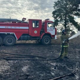 Лесной пожар в Наурзумском заповеднике в Костанайской области ликвидирован