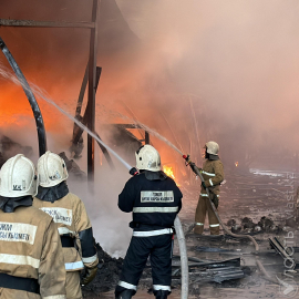 ДЧС Алматы не исключает, что пожар на складе возник из-за грозового разряда
