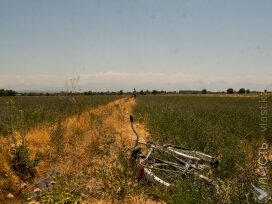 В нескольких регионах Казахстана в ближайшие 10 дней ожидается засуха