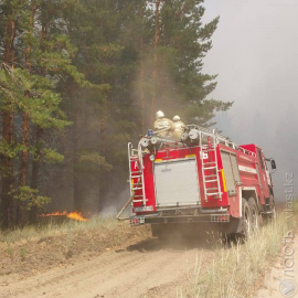 В области Абай снова загорелся лес 