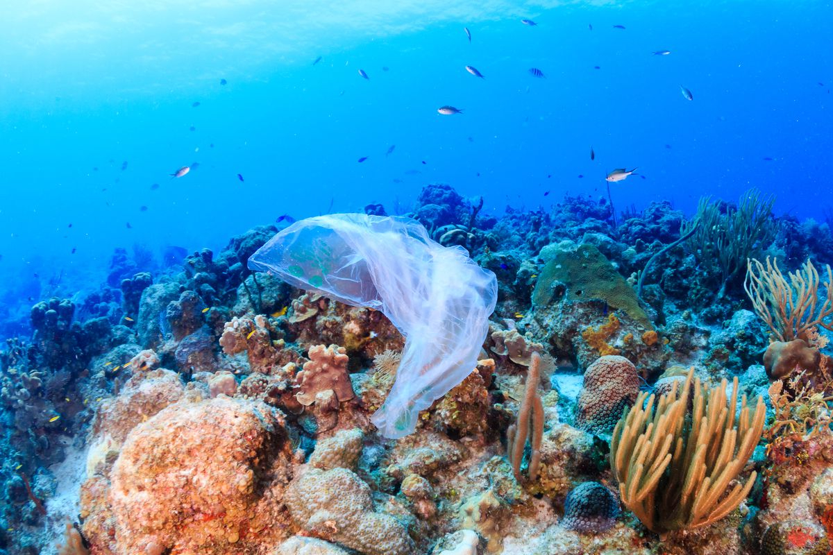 Экологи извлекли 40 тонн мусора из Тихого океана