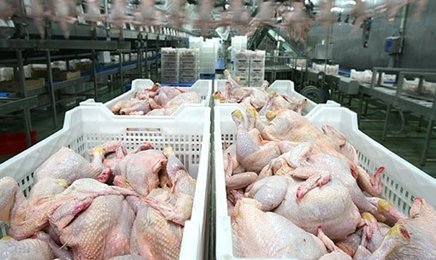 Казахстан назвал неправомерным запрет Кыргызстана на ввоз мяса птицы