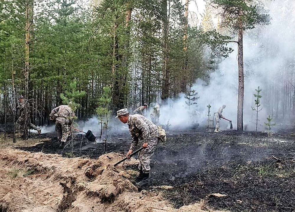 Лесной пожар в области Абай локализован – МЧС