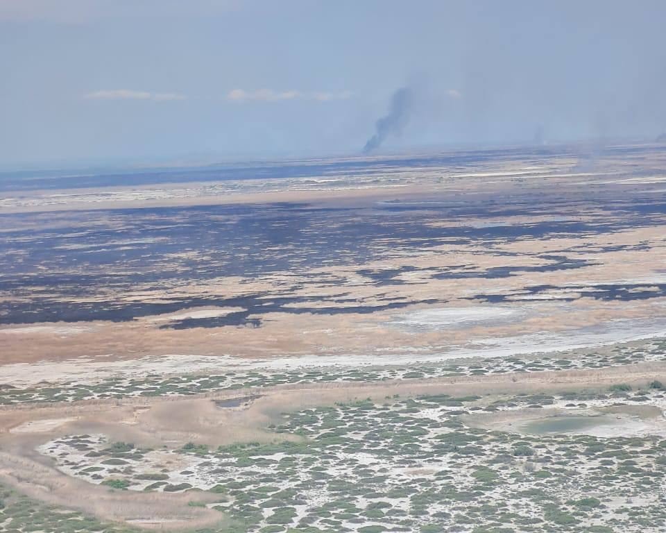 Площадь пожара на территории Иле-Балхашского резервата удалось снизить до 120 га – МЧС