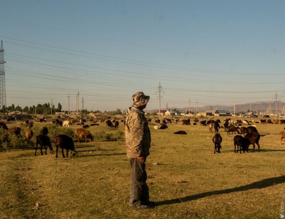 Пострадавшим от засухи казахстанским фермерам предоставят отсрочку по кредитам 